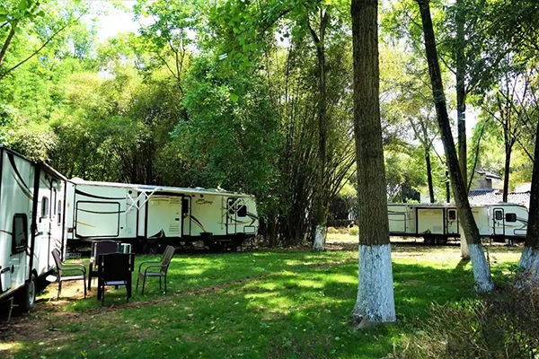 乐享端午 成都新津区花漾露营地欢迎市民游玩_fororder_月光宝荷营地-供图-成都新津区委宣传部