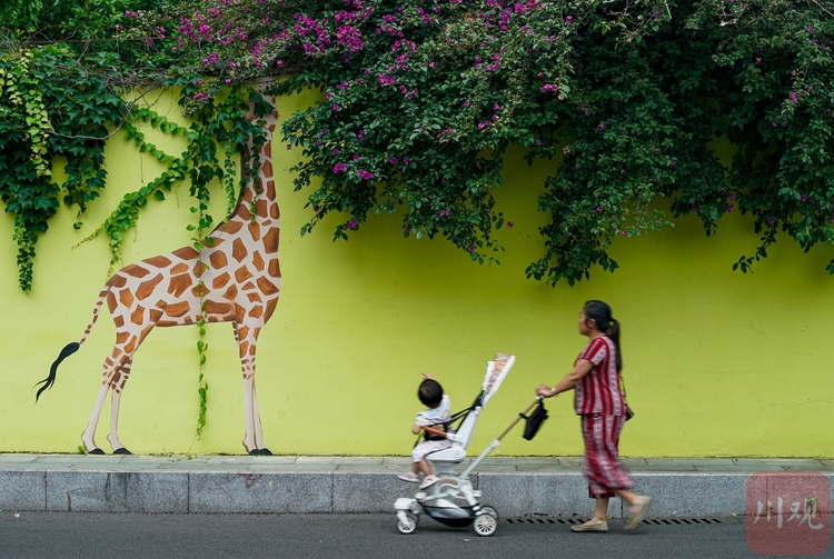 （转载）“手绘+绿植” 夏日创意景观画亮相成都街头