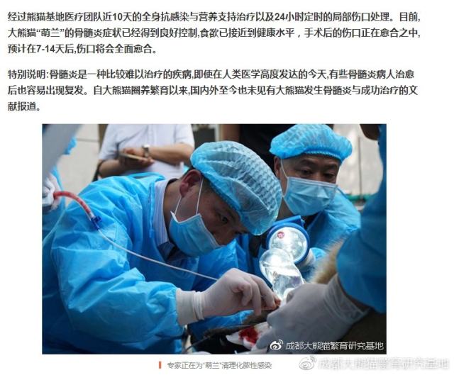 成都大熊猫基地回应“虐熊猫”：与事实严重不符