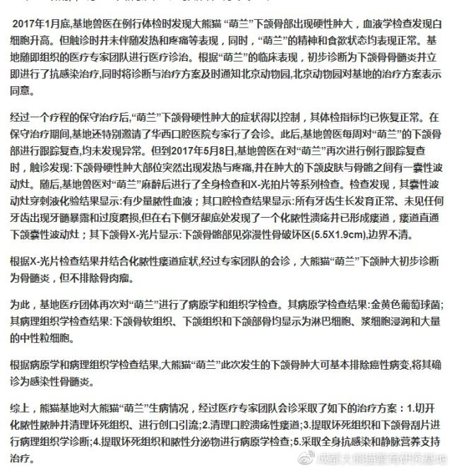 成都大熊猫基地回应“虐熊猫”：与事实严重不符
