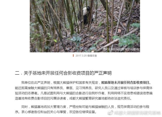 成都大熊猫基地回应“虐熊猫”：与事实严重不符