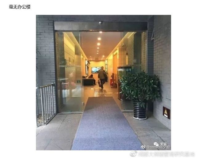 成都大熊猫基地回应“虐熊猫”：与事实严重不符