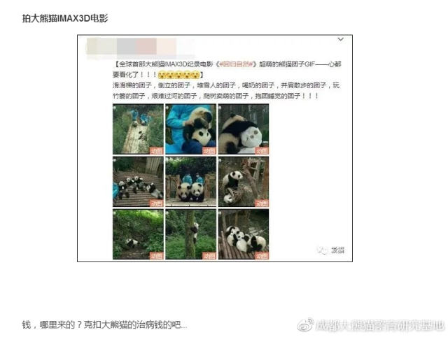 成都大熊猫基地回应“虐熊猫”：与事实严重不符