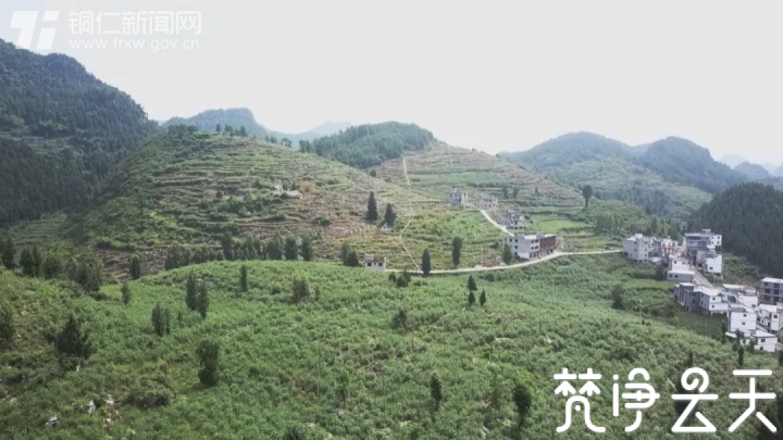 给生活加点“料”！贵州沿河这个村500亩花椒喜获丰收