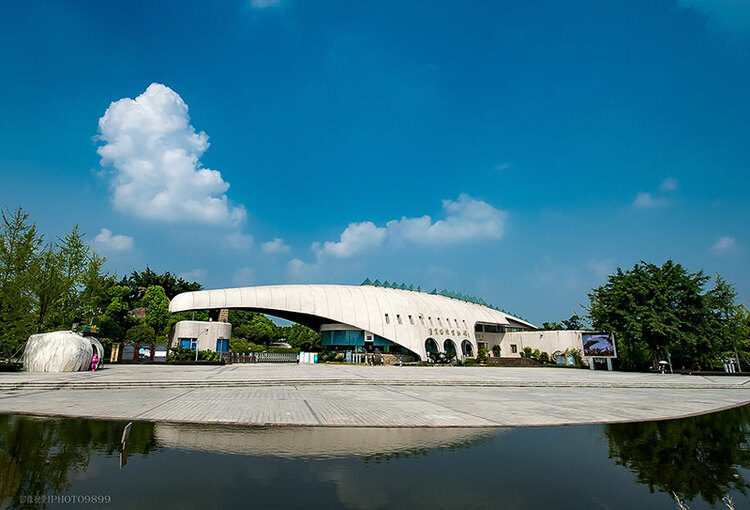 体验“恐龙”文旅盛宴 开启一场自贡“惊奇”之旅_fororder_5自贡恐龙博物馆(摄影-廖志全)