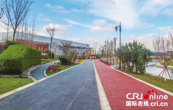 图片默认标题_fororder_靓丽的陆港绿道（摄影-沈婷婷）