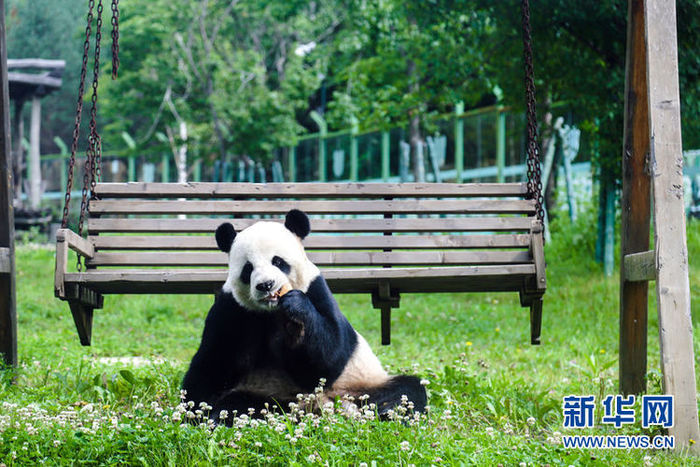 중국 최북단에 위치한 판다관 재개방 중국 최북단에 위치한 판다관 재개방_fororder_jia5