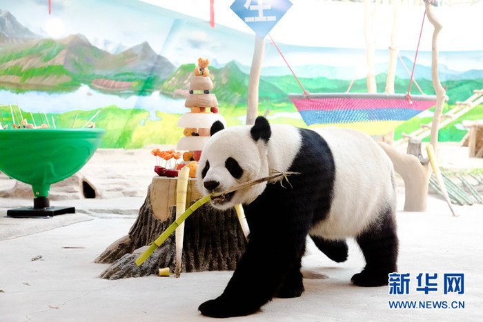 중국 최북단에 위치한 판다관 재개방 중국 최북단에 위치한 판다관 재개방_fororder_you1