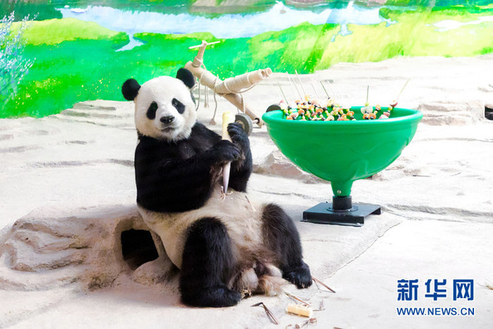 중국 최북단에 위치한 판다관 재개방 중국 최북단에 위치한 판다관 재개방_fororder_you2