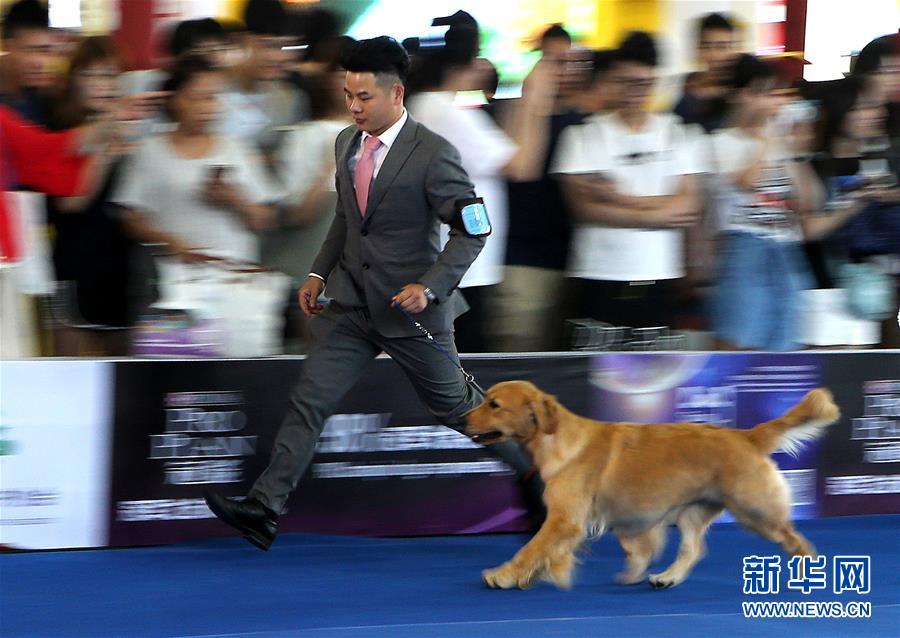 第22届亚洲宠物展迎来首个公众日
