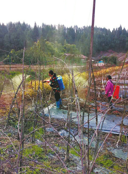 图片默认标题_fororder_0d2a3ab674817b56136aad9fb730b601