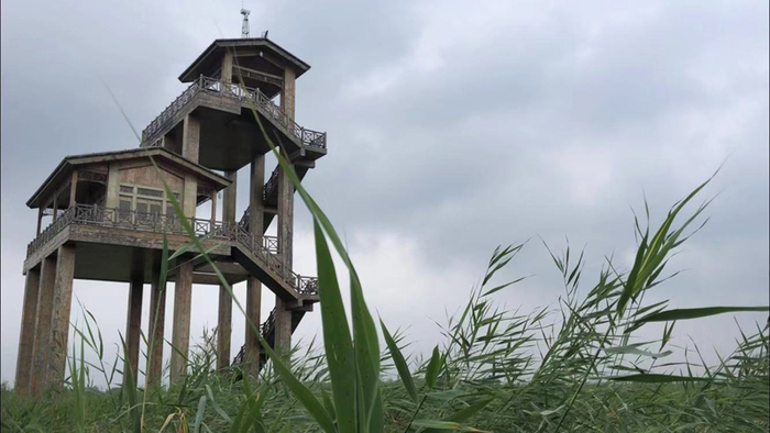 图片默认标题 图片默认标题_fororder_600755689