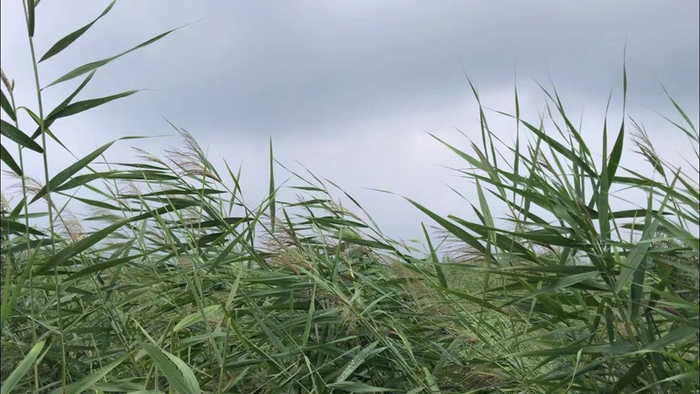 图片默认标题 图片默认标题_fororder_997450417