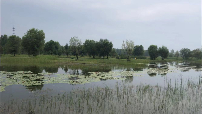 图片默认标题 图片默认标题_fororder_282051144