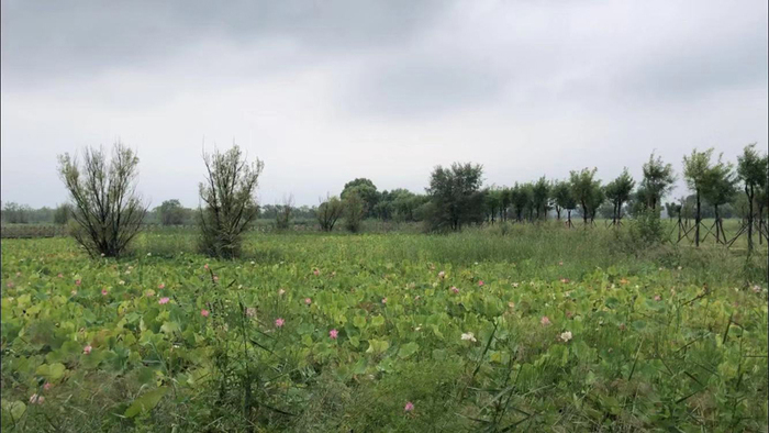 图片默认标题 图片默认标题_fororder_1834300490