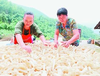 遵义会议精神:烛照征程 永放光芒