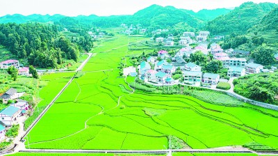 遵义会议精神:烛照征程 永放光芒