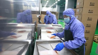机器烧的罗宋汤是啥味道？记者在温州食品企业体验预制菜生产