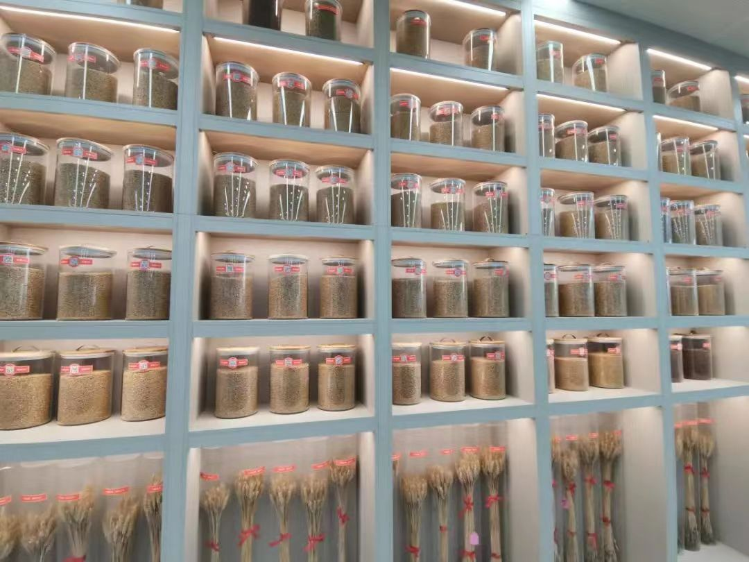 (转载)25岁 正青春 | 杨凌农高区:用科技创新丈量种业强国路