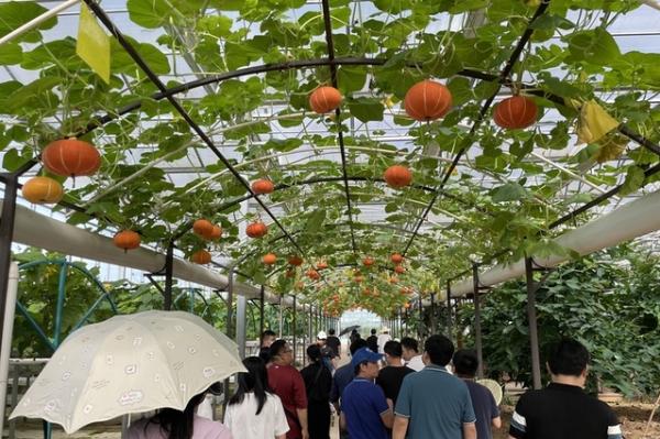 赣南苏区振兴的吉安探索:吉州窑打造宋潮产业,成发展新动力