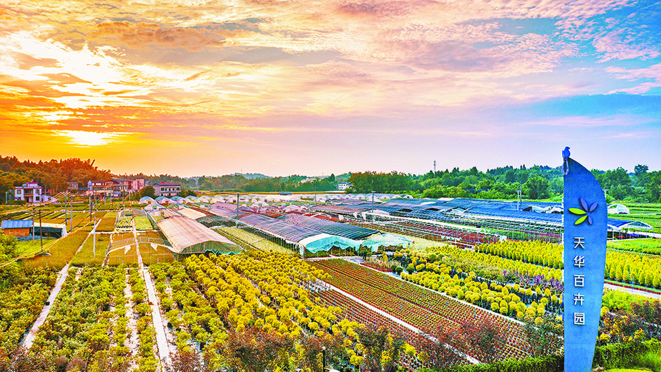 重庆大足：绿色产业带动乡村振兴