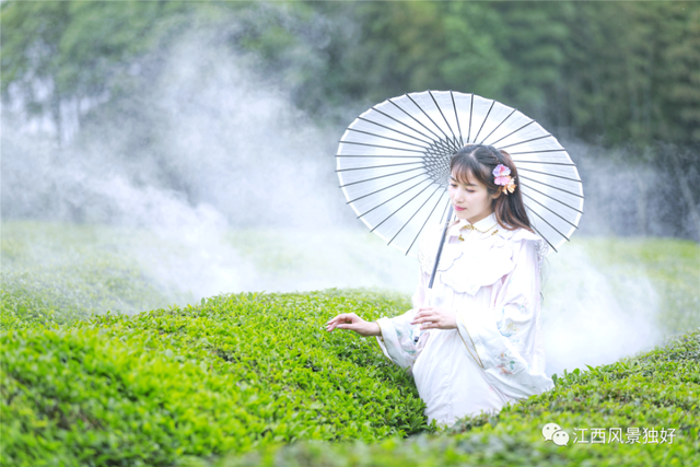 朱 虹:跑马观花百峰岭 朱 虹:跑马观花百峰岭