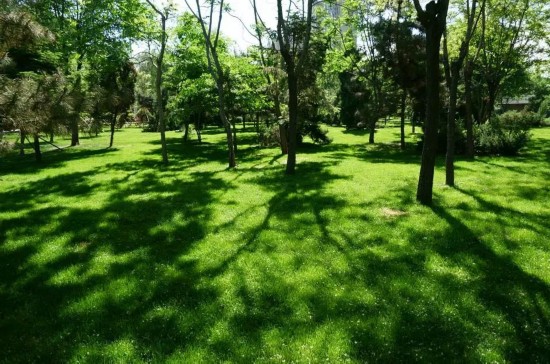 （移动端）“笔墨山水 书画我家”绘画活动即将举行——用你的笔 描绘最爱的家