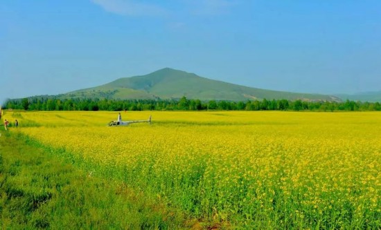 （移动端）“笔墨山水 书画我家”绘画活动即将举行——用你的笔 描绘最爱的家
