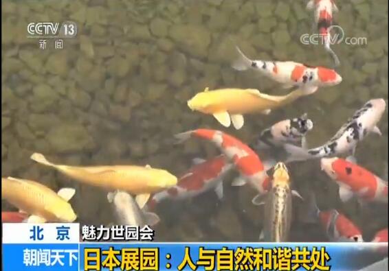 图片默认标题_fororder_2