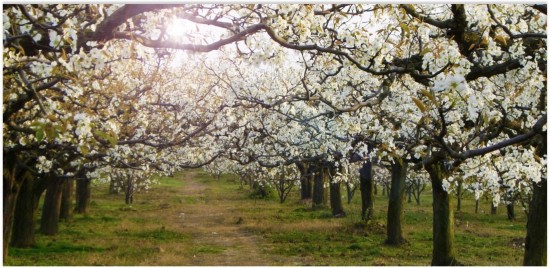 （移动端）Get-这才是2018赴津调研的正确打开方式