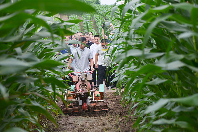 自贡荣县:“三级书记”齐抓25万亩大豆生产_fororder_4机械播种大豆