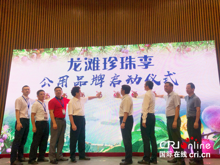 （有修改）【A】广西天峨县：“龙滩珍珠李”公用品牌正式启用 助力产业扶贫