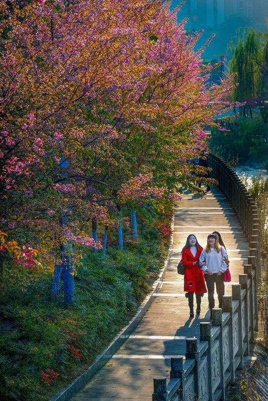 （导航攀枝花）“硬汉”变“暖男” 2669条新闻组成2017攀枝花外宣四大关键词