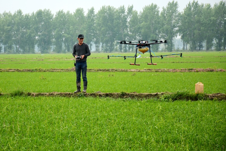 鸭绿河农场：无人机施肥精准高效促增产
