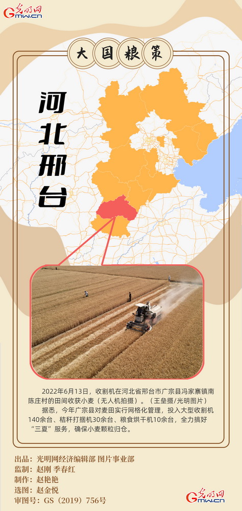 【大国“粮”策】创意海报丨全国小麦收获逾九成 又到夏粮好“丰景”