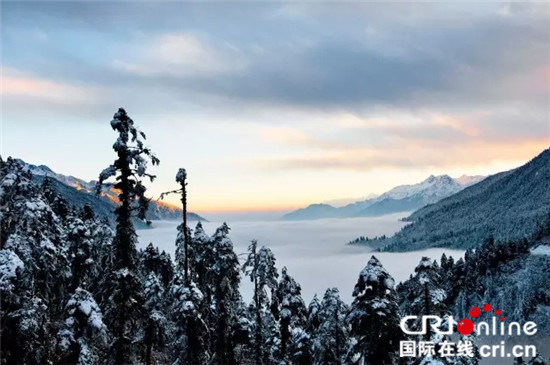 图片默认标题_fororder_海螺沟冬景