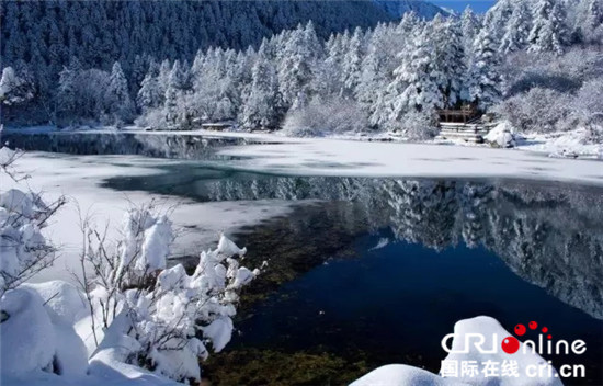 图片默认标题_fororder_雪景森林