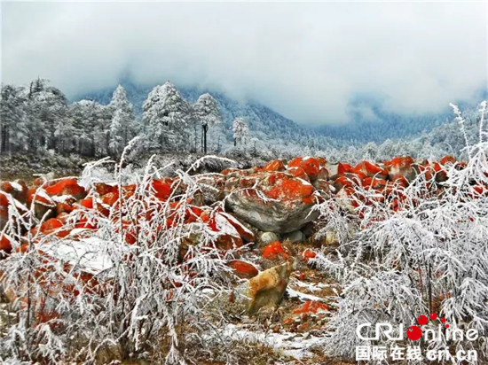 图片默认标题_fororder_红石雪滩