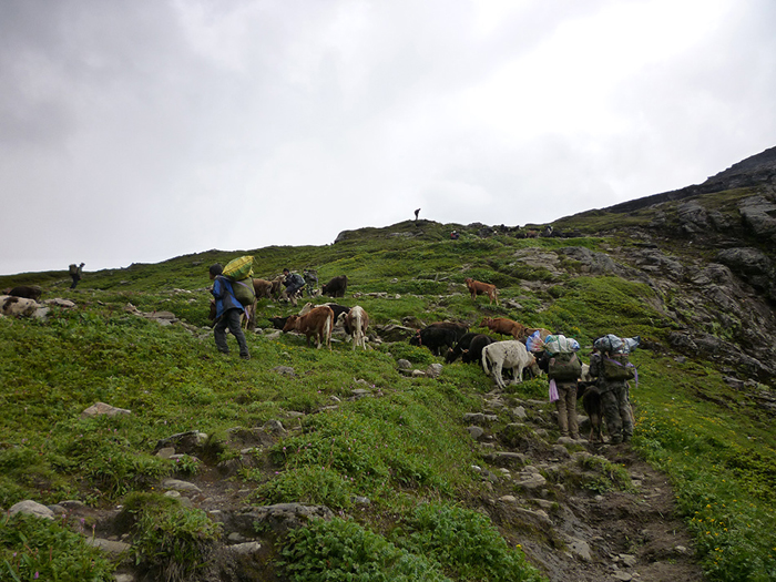 边疆党旗红｜门巴汉子高荣：留在地东，留住地东
