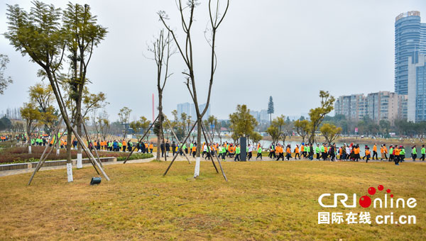 图片默认标题_fororder_3