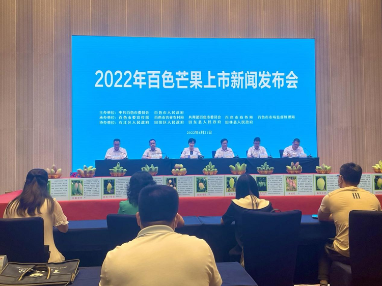 百色芒果上市 2022年产量预计将达到100万吨_fororder_图片 3