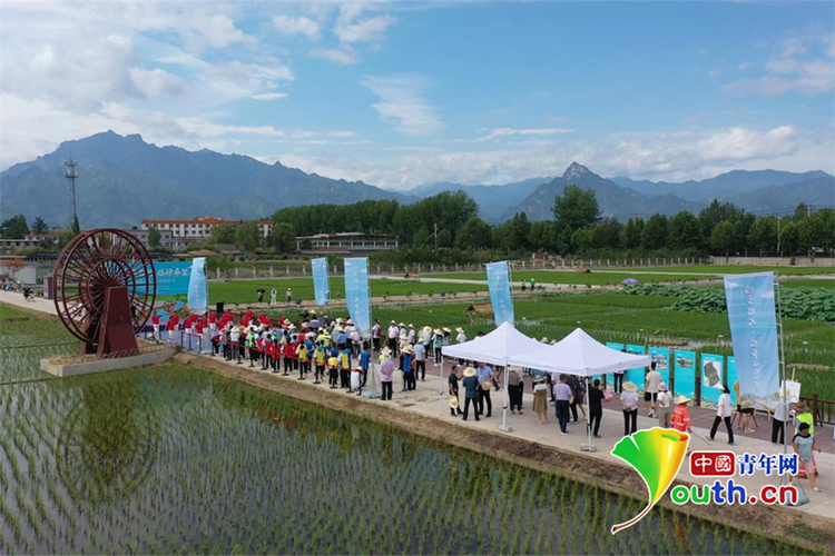 (转载)摸鱼又插秧!西安高新区2022年稻香北大“农事体验节”活动举行_fororder_微信图片_20220622174348