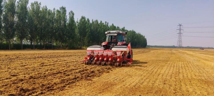 抢抓农时稳粮增豆 产粮大省山东夏种一线见闻