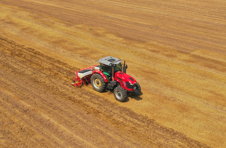 抢抓农时稳粮增豆 产粮大省山东夏种一线见闻