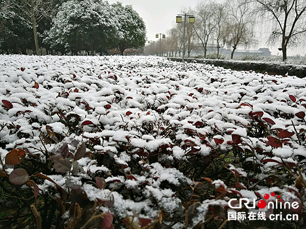 图片默认标题_fororder_北川新县城