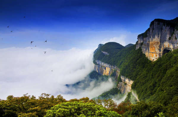 【原创】“金佛山.福南川”亮相2022重庆露营文化节暨休闲旅游展示推介会_fororder_图片8(1)