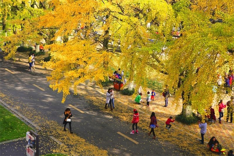 2022高招进行时|四川农业大学:招生计划9300人 新增智慧农业等三个本科专业 2022高招进行时|四川农业大学:招生计划9300人 新增智慧农业等三个本科专业_fororder_3