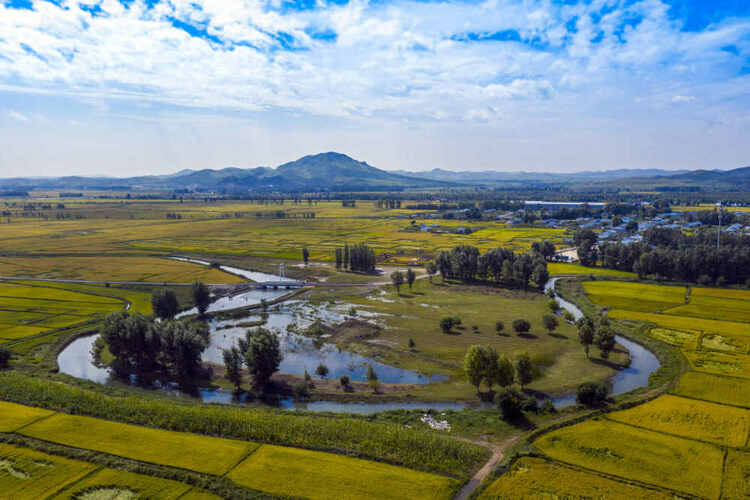 内蒙古：打造北疆亮丽风景线