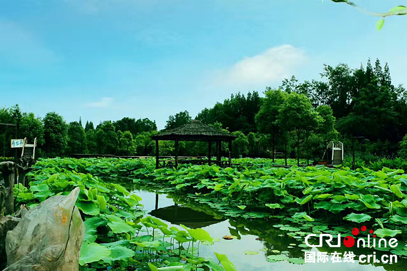 图片默认标题_fororder_0710_33