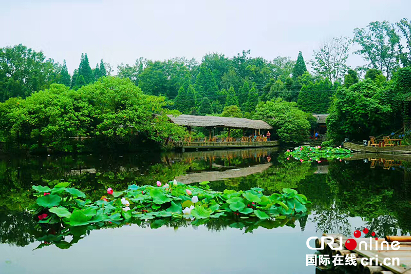 图片默认标题_fororder_0710_34